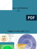 Mitosis 2.5