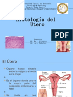 Histologia Del Utero