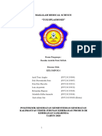 Makalah Kel 6 Toxoplasmosis