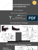 Entomologi (Sistem Reproduksi)