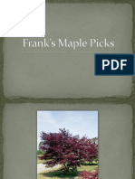 Frank's Maple Picks PDF