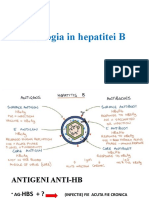 Serolgia in hepatita B