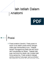 Istilah Istilah Dalam Anatomi