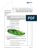 31 - Biologia e Geologia - 10º Ano - A Fotossíntese