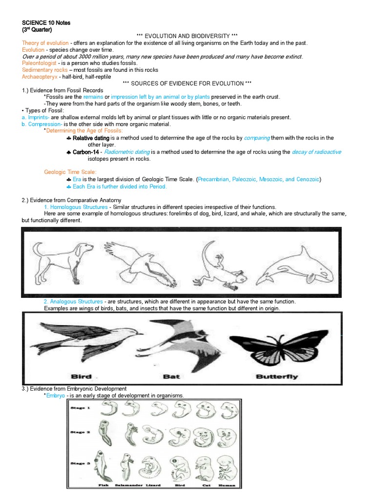 Evolution and Biodiversity Overview | PDF | Fossil | Evolution