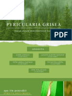 Jamur: Pyricularia Grisea