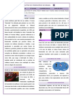 Boletim Do Feminicídio No Brasil PDF