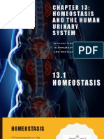 Bio T4 DLP KSSM Chapter 13 Homeotasis and The Human Urinary System