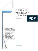 Célula y Membrana Célular
