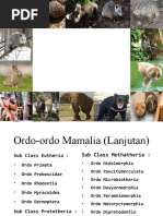 Download Ordo-ordo Mamalia by Tina Manroe SN56710884 doc pdf