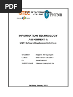 Information Technology: Assignment 1