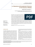 Structural Features of Glandular and Non-Glandular Trichomes in Three Species of Mentha