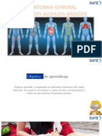 Anatomia Basica en Emergencias