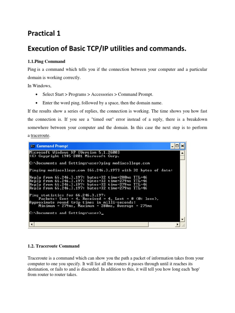 Basic TCP/IP Command Usage Guide | PDF | File Transfer Protocol ...