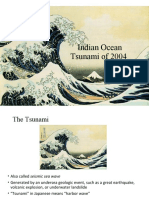 6 TS 4143 Tsunami (Pengayaan)