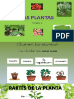 Plant As