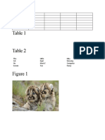 Assignment 2tables and Images