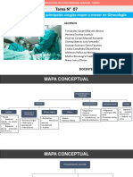 Mapa Conceptual Cirugia Mayor y Menor