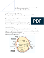 Discapacidad Visual