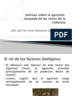 Perspectivas Teóricas Sobre La Agresión