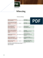 Chapter 190: A Quick Guide to Wheezing Causes