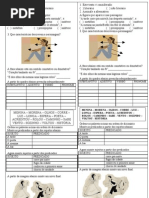 Exe.variados a Menina e o Poeta