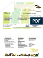 Certificado - Bráulio Pereira Da Silva 2020