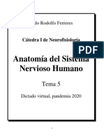 Tema 5 Anatomia del SN BIBLIOGRAFIA PDF (1)