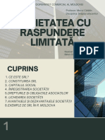 Societatea Cu Răspundere Limitată (SRL)