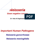 Neisseria: Gram Negative Coccus