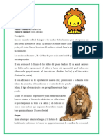 Monografia Del Leon