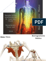 Biomagnetismo Pelvis