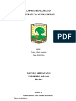 Afnila Angraini - 2011312014 - Pemeriksaan Fisik Sistem Respirasi