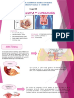 Histeroscopia y Conizacion.. AZU.pptx (2)