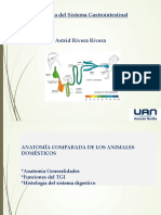 Anatomia Comparada TGI