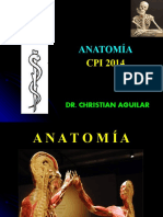 3-CFC - Artrología