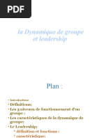 Dynamique de groupe et leadership TCC2 (3)
