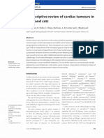 A descriptive review of cardiac tumours in dogs and cats _ Enhanced Reader