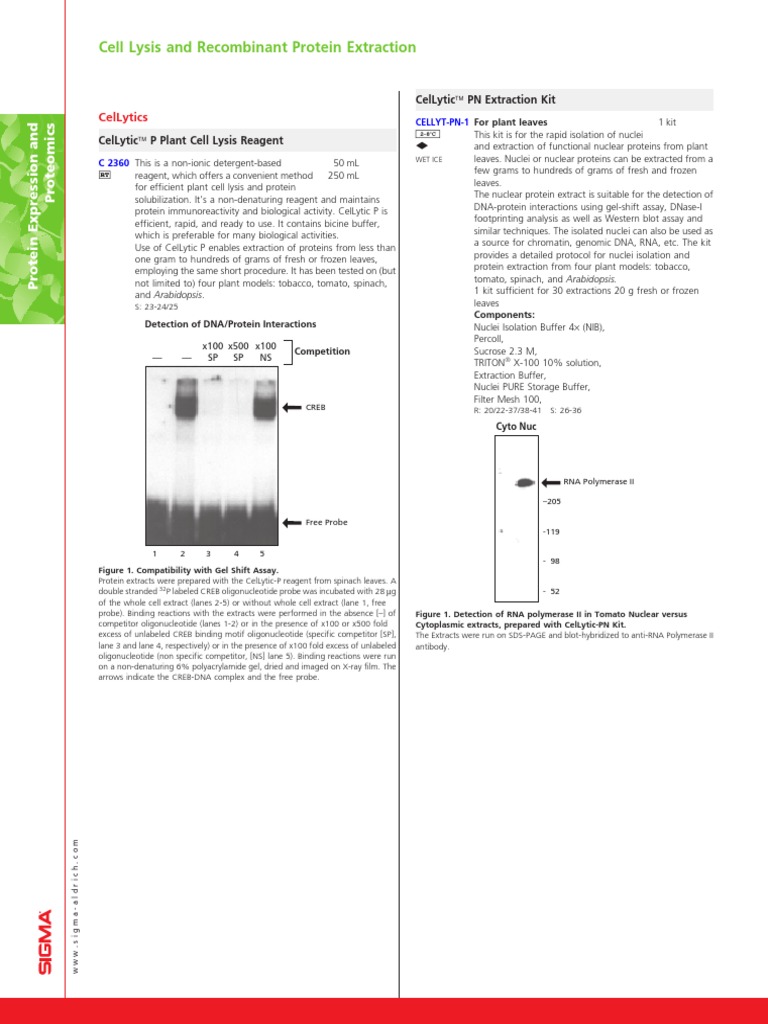 Cell Lysis and Protein Extraction Cellytics PDF