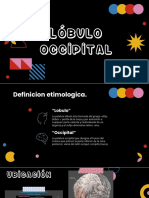 Lóbulo occipital función visión