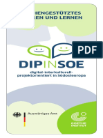 DIP in SOE - Nievausstufenflyer