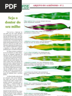 Seja o Doutor Do Seu Milho n1