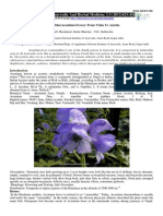 Vatsanabha(Aconitum Ferox) From Visha to Amrita