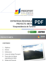 Presentacion Proyecto Regionalizacion Meta