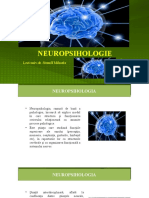 Cursul 1 - Neuropsihologie