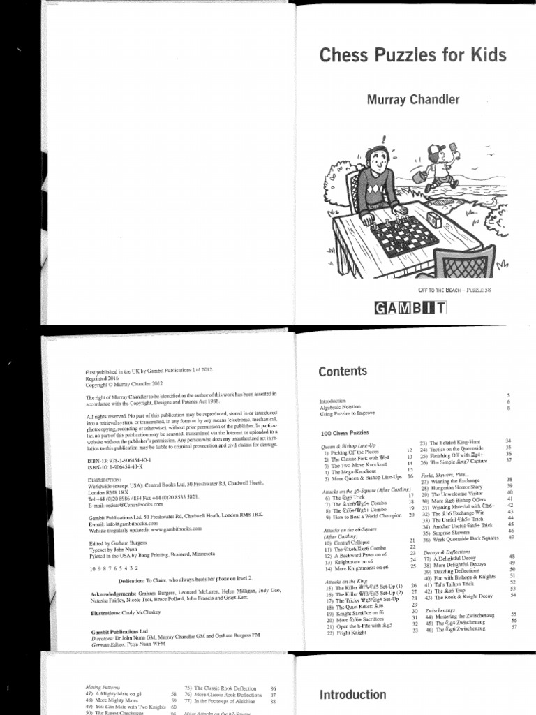 Chess Puzzles For Kids | PDF