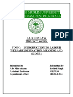 Labour Law Project 1