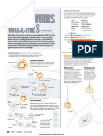 Coronavirus Vaccines