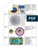 BIOLOGIA SEGUNDO DEPARTAMENTAL