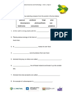 Worksheet C Food Chains: GR 5 Natural Sciences and Technology - Term 1, Topic 4